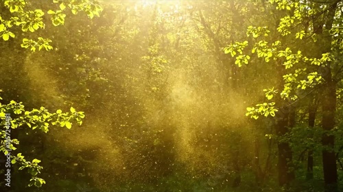 Ethereal Atmosphere pollen drift spring Visible pollen creating a soft, hazy glow in sunlight. A mesmerizing cinematic shot captures