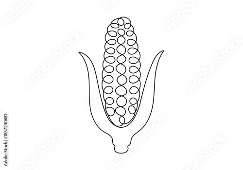  Single one line drawing art corn on the cob isolated on white vector illustration