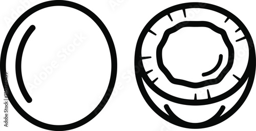 Black and white outline of a whole coconut and a halved coconut