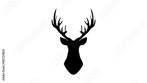silhouette of a deer