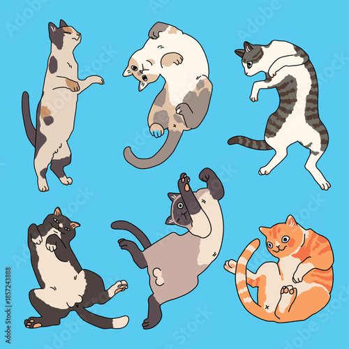 Cute Cat Happy Fun Lie Down Illustration