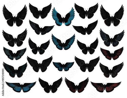 Assortment of wings of various colors displayed in a grid pattern on a white background with a dark outline