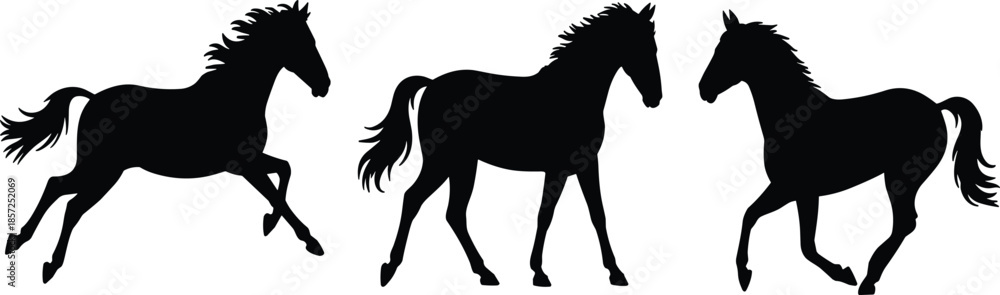 Obraz premium A Set of Three High-Contrast Black Horse Silhouettes Capturing Various Majestic Poses Including Running, Trotting, and Standing in Profile