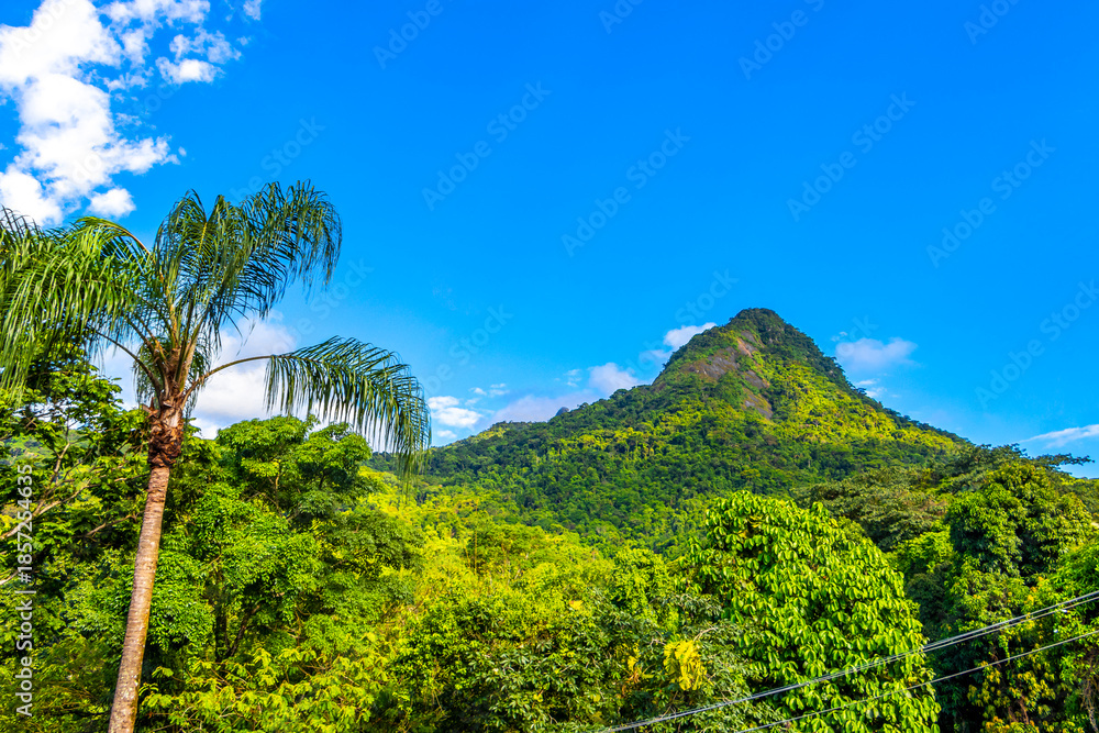 Fototapeta premium Tropical mountain hill Pico do Papagaio rainforest trees blue sky