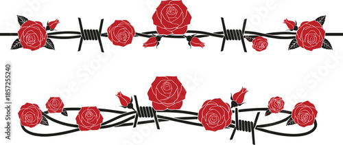 Barbed wire with red roses, floral contrast of beauty and danger, romantic resilience artwork, tattoo vector illustration, symbolic 