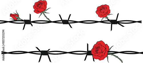 Barbed wire with red roses, symbolic contrast of beauty and pain, resilience artwork, floral vector illustration, romantic strength design