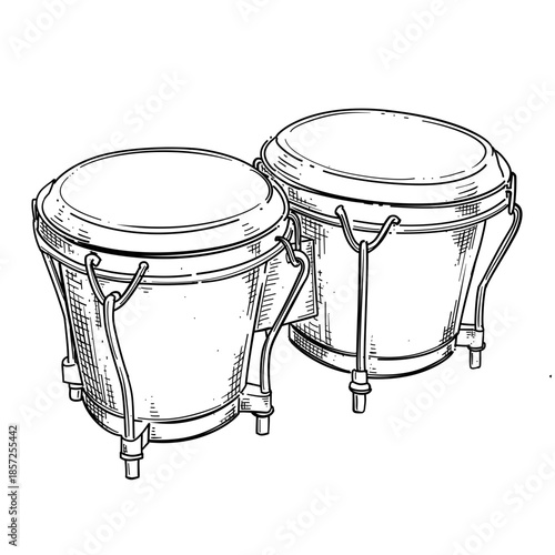 Bongo drum vector line art hand drawn illustration