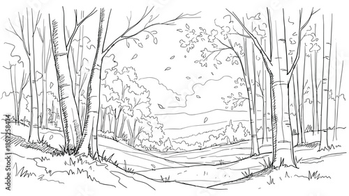 Serene forest landscape with trees and winding path in nature, Generative AI.