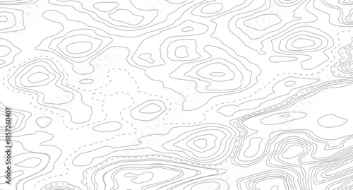 Topography background. Vector banner. Topography map background. Vector geographic contour map. Background of the topographic map.