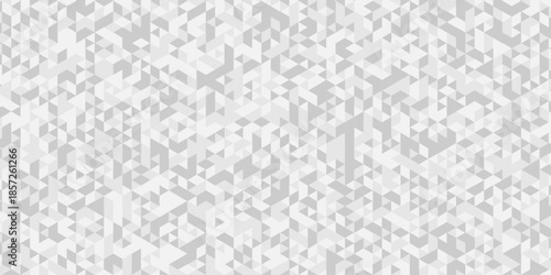 Abstract low polygon cubic white, gray design. vector poly triangle texture geometric pattern triangular. geometric wall tile metal cube background triangle wallpaper design.