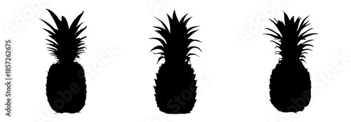 set of pineapple