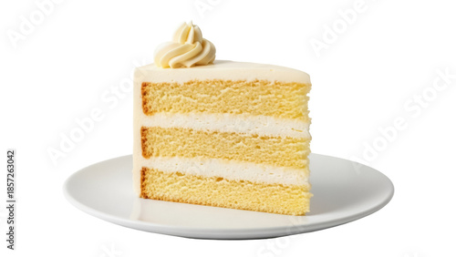 Obraz na plátne Delicious vanilla layer cake slice isolated PNG, creamy frosting dessert on a pl