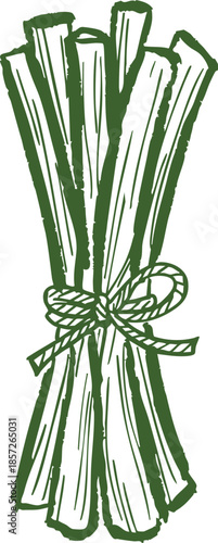 Bundle of green onions illustration