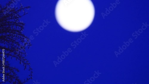 満月とススキ　夜の空