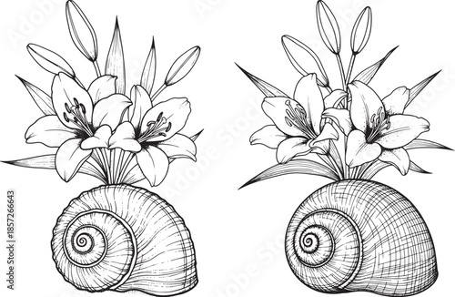 Detailed black and white line art illustration of lily flowers and buds arranged in a snail shell, botanical and nature concept.