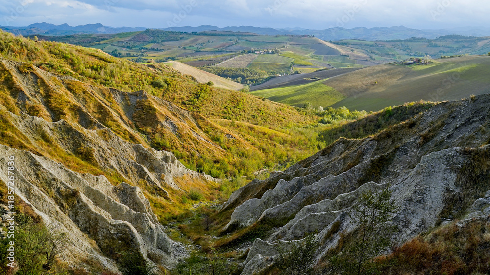 Naklejka premium Foliage d'autunno nei vigneti del vino Sangiovese delle colline bolognesi. Imola, Bologna, Emilia Romagna. Italia 