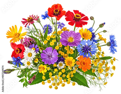 A colorful assortment of wildflowers, vibrant and richly detailed