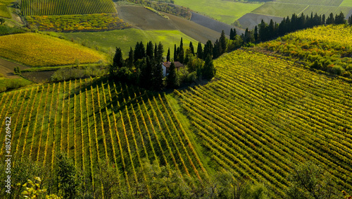 Tableau sur toile Foliage d'autunno nei vigneti del vino Sangiovese delle colline bolognesi