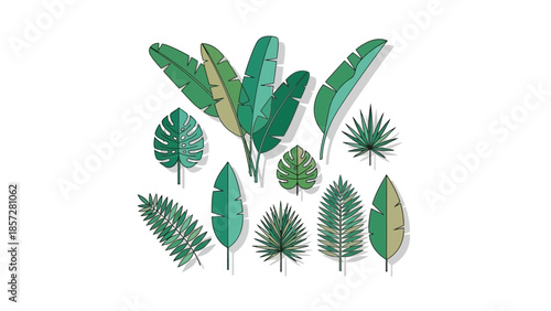 Collection of Flat Botanical Exotic Foliage Illustration Isolated on White Background