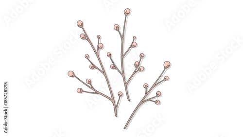 Collection of Minimalist Budding Tree Twigs for Seasonal Nature and Floral Designs