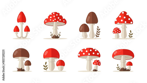 Set of Red and Brown Mushroom Icons with Flat Vector Illustration Style