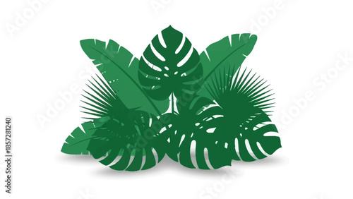 Dense Green Jungle Plant Arrangement for Exotic Nature Background Illustration