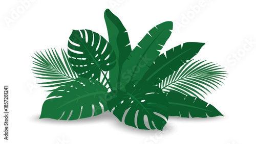 Lush Tropical Foliage Composition with Monstera Palm and Banana Leaves Vector