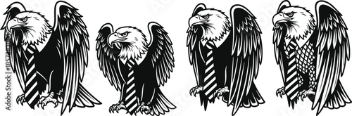 Four black and white eagle with striped bodies and outstretched wings bird
