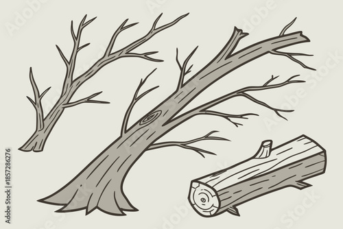 Fallen tree branches and log on a light grey background wood