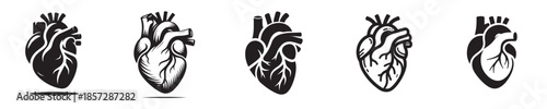 vector set of heart organ silhouettes