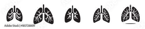 vector set of lung organs silhouettes