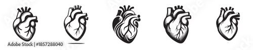 vector set of heart organ silhouettes