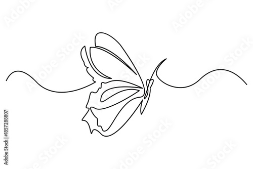 Butterfly continuous line art elegant upward profile sketch with textured wing details