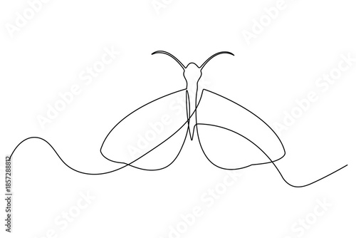 Butterfly continuous line art minimalist moth sketch with wide symmetrical wings