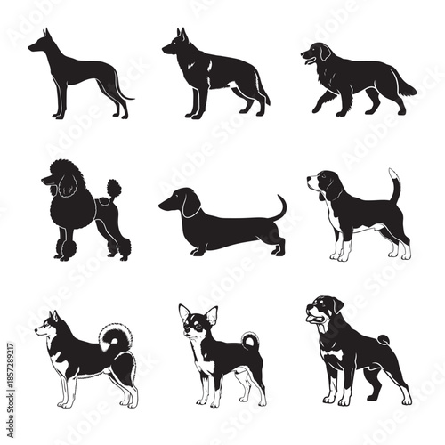Dog Breeds Silhouettes Collection Vector