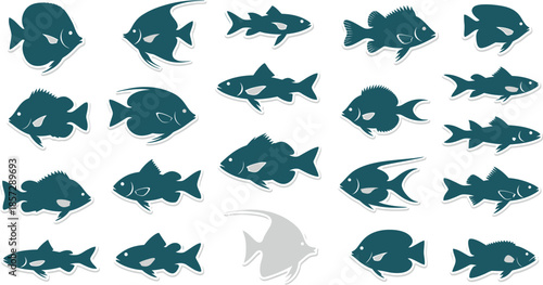 A Collection of Silhouetted Aquatic Life Various Fish Species Swimming in a Clear Water Environment