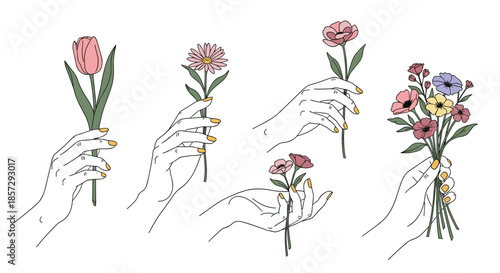 Collection of graceful illustrations showing a woman's hands with yellow nails holding and arranging various colorful spring flowers and bouquets.