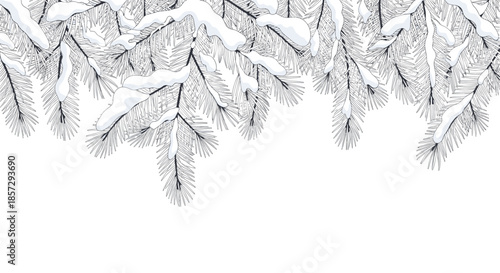 Realistic winter border with snow-covered pine branches in a detailed black and white line art style, isolated on a white background with copy space.