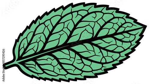 Green Leaf Illustration with Black Veins.
