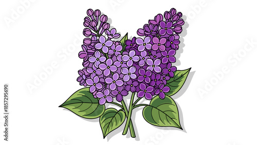 Purple Lilac Flowers with Green Leaves.