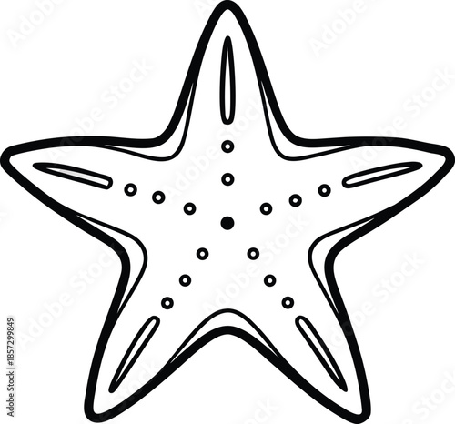 starfish line art vector