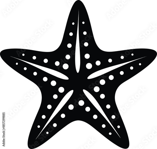 Sea star fish marine, illustration of a starfish