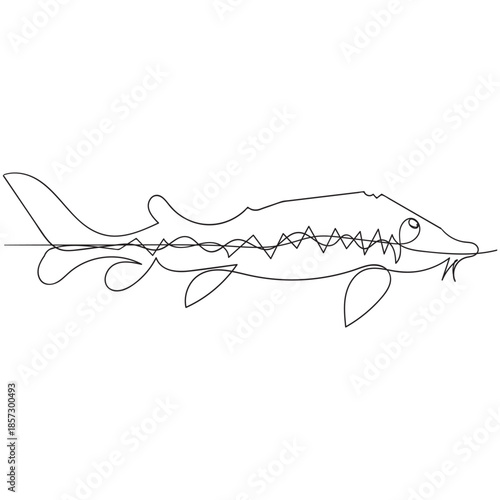Minimalist Sturgeon Continuous Line Drawing Fish Vector Illustration