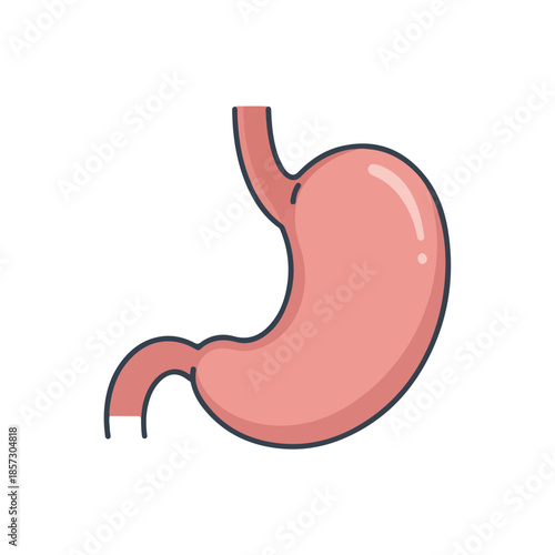 Anatomically correct icon of a human stomach, a pinkish-red digestive organ on a white background.