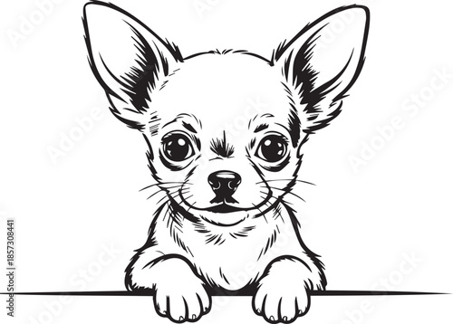 Cute Chihuahua Puppy Line Art Illustration, Adorable Dog Face Black and White Vector