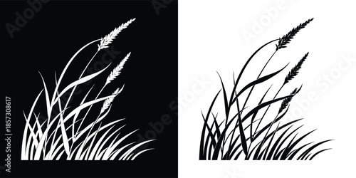 Graceful grass illustration in black and white, capturing the essence of natures beauty, perfect for serene designs isolated on white background