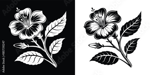 A detailed botanical illustration of a hibiscus flower with leaves, isolated on white background, showcasing the beauty of nature and floral elegance