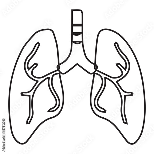Human Lungs Outline