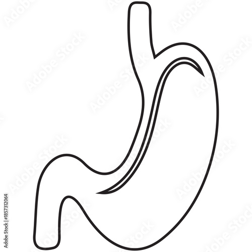 Human Stomach Outline