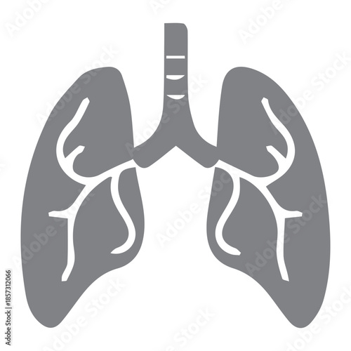 Human Lungs Anatomy Graphic